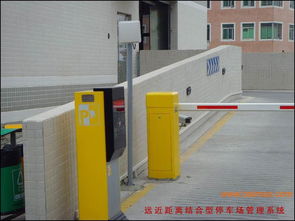 河北衡水盛宇門(mén)業(yè)制造廠批發(fā)供應(yīng)車(chē)庫(kù)門(mén),鐵藝門(mén),工業(yè)門(mén),防盜門(mén)