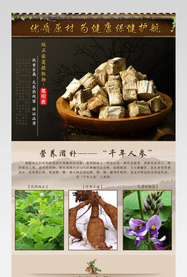 中藥成藥藥材詳情模板