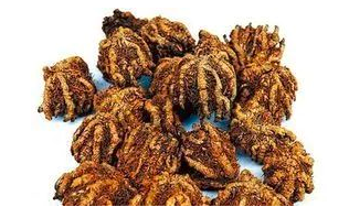 荊楚藥材專欄開播 助力湖北省中藥材品牌推廣與放射性藥品創新發展