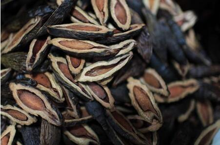 檳榔在中藥與中藥成藥中的應用與影響