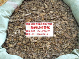 全面指南 如何尋找可靠的中藥材供應商