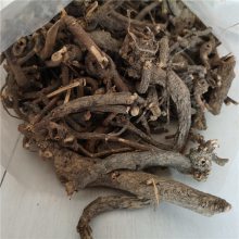 黃芽大戟 功效、價格與成藥應用