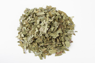 傳統瑰寶與現代科技的交匯 從淫羊藿到放射性藥品